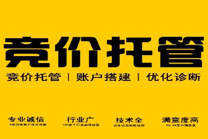 搜索开户返点揭秘：成功案例教你赚钱